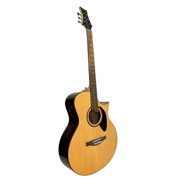 Riversong The Stylist Acoustic Guitar