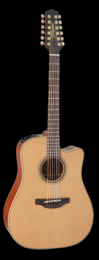 Takamine P3NC 12