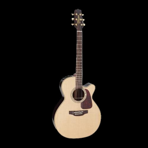 Takamine P5NC