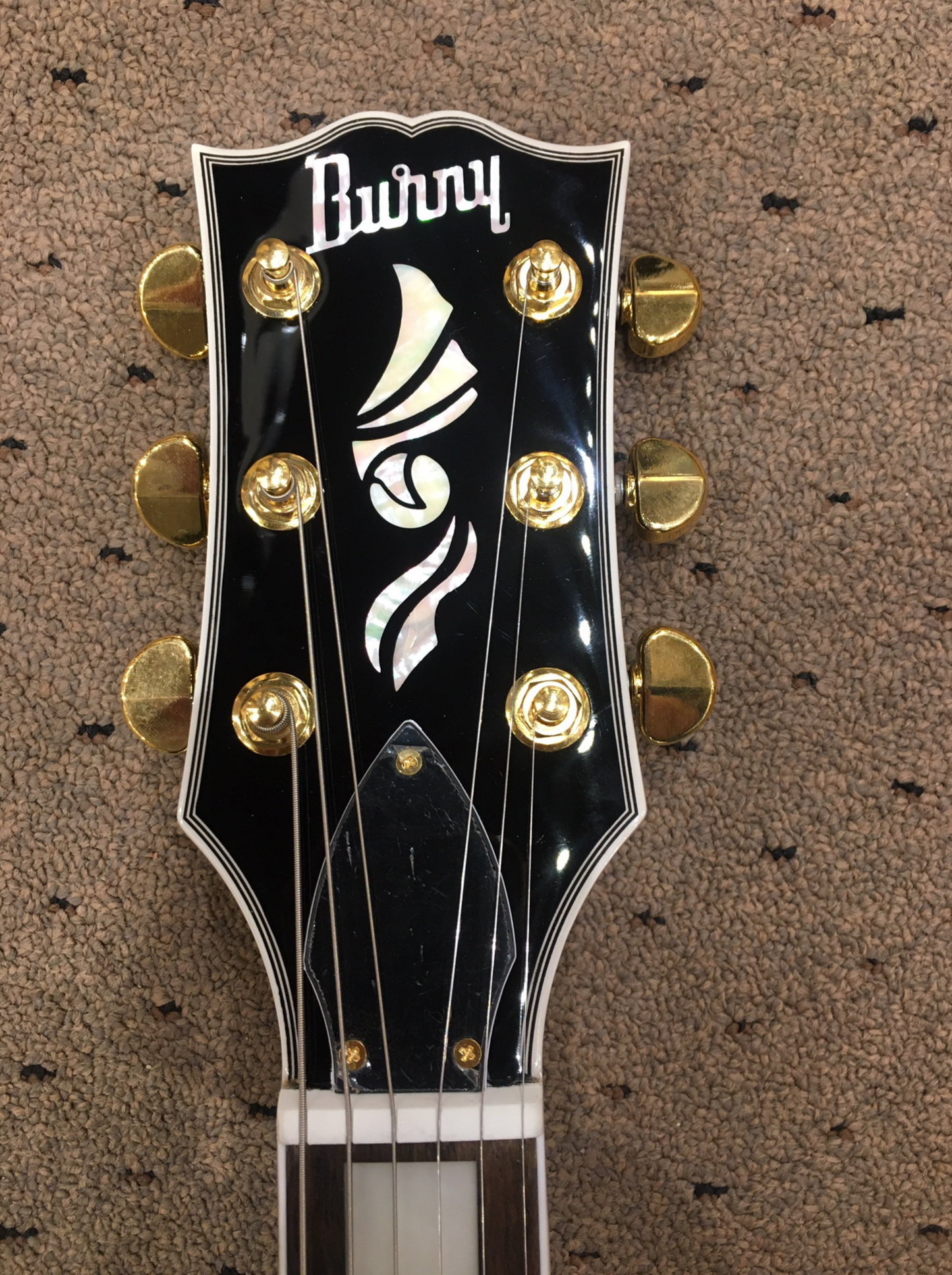 Burny RLC-55 JP (Jimmy Page) BLK  Electric Guitar